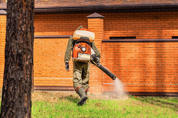 Top rated local Cockroach Control specialists in Appleton City, MO